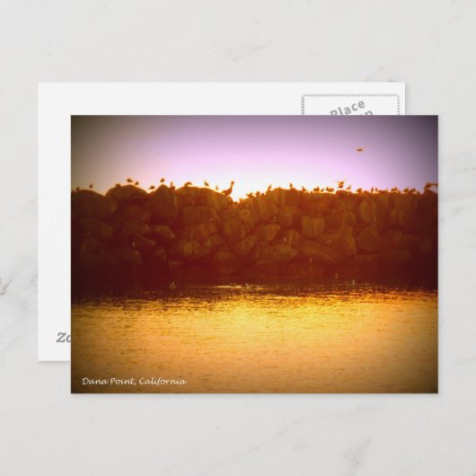 Dana Point Sunset Briefkaart (Voorkant / Achterkant)