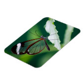 Dana Premium Magnet Magneet (Linkerzijde)