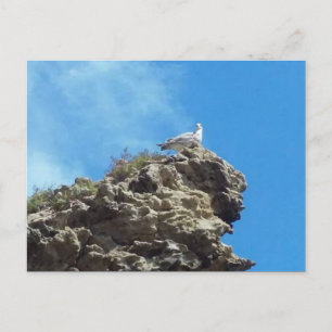 DANA PUNT 3 BRIEFKAART