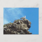 DANA PUNT 3 BRIEFKAART (Voorkant)