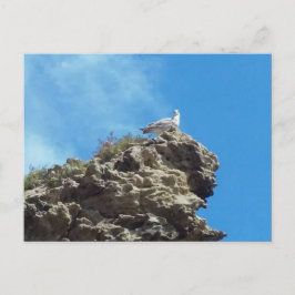 DANA PUNT 3 BRIEFKAART