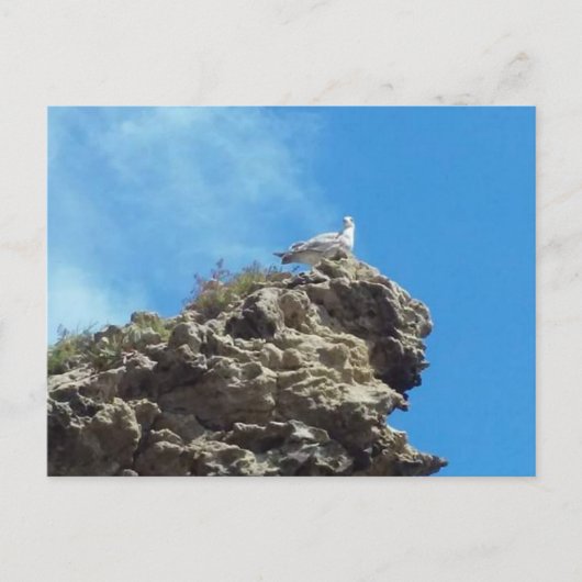 DANA PUNT 3 BRIEFKAART (Voorkant)