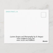 DANA PUNT 4 #4 Briefkaart (Achterkant)