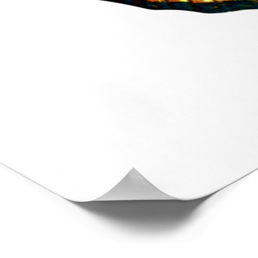 Danaus chrysippus butterfly poster (Hoek)