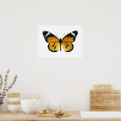 Danaus chrysippus butterfly poster (Keuken)