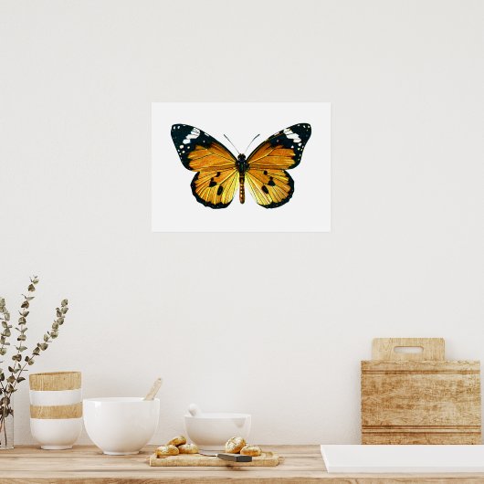 Danaus chrysippus butterfly poster (Keuken)