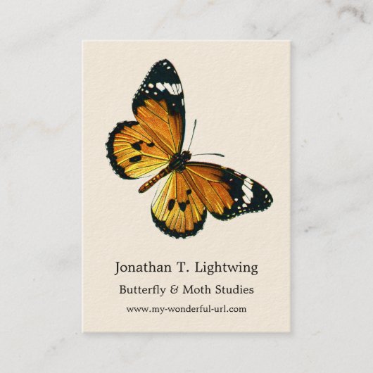 Danaus chrysippus - Plain Tiger of African Queen Visitekaartje (Voorkant)