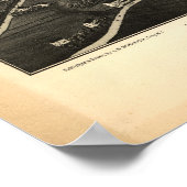 Danbury Connecticut 1884 Panorama Map Poster (Hoek)