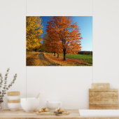 Danby Vermont Autumn Poster (Keuken)