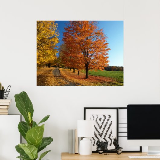 Danby Vermont Autumn Poster (Thuiskantoor)