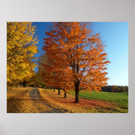 Danby Vermont Autumn Poster (Voorkant)