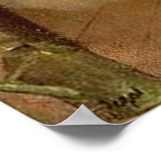 Dance Class Poster (Hoek)