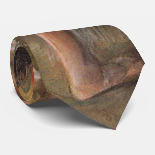 Dance Examination by Edgar Degas,  Ballet Stropdas (Opgerold)