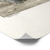 Dance of Death - The Knight Poster (Hoek)