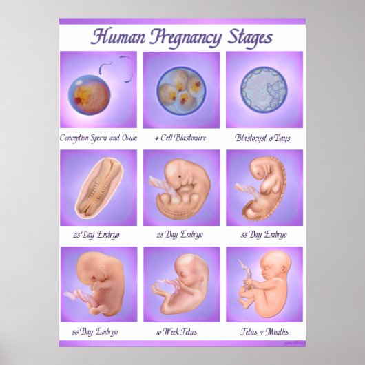 Dance of Life Pregnancy Art Poster (Voorkant)