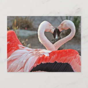 Dance of Love Briefkaart