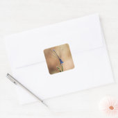 Dance of the damselfly vierkante sticker (Envelop)
