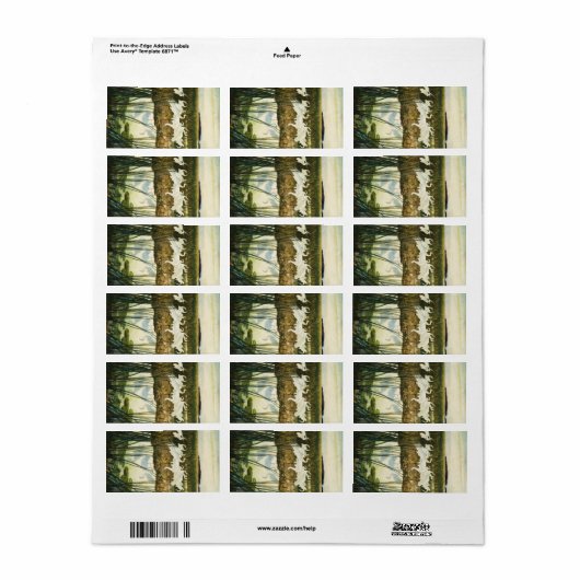 Dance of the Whooping Cranes, 1939 by N.C. Wyeth Etiket (Full Sheet)