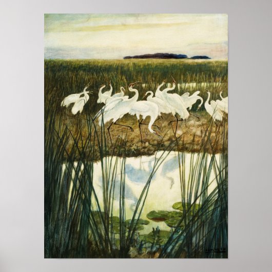 Dance of the Whooping Cranes, 1939 by N.C. Wyeth Poster (Voorkant)