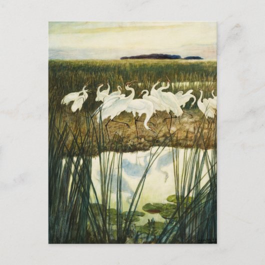 Dance of the Whooping Cranes van N.C. Wyeth Feestdagenkaart (Voorkant)