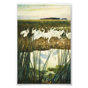Dance of the Whooping Cranes van N.C. Wyeth Foto Afdruk