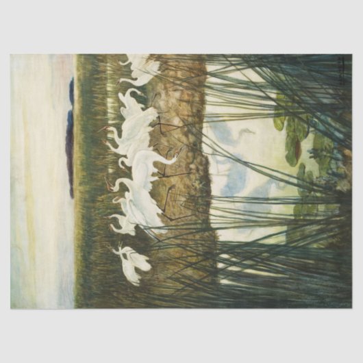 Dance of the Whooping Cranes van N.C. Wyeth Tissuepapier (Voorkant)