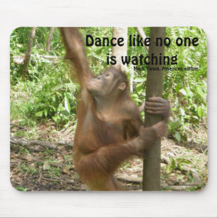 Dance Orangutan Famous Quote Muismat