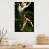 Dance Poster (Keuken)