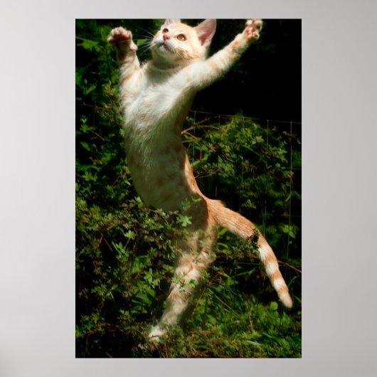 Dance Poster (Voorkant)