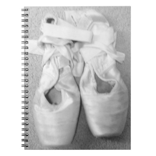 Dancer Gift Ballet Slippers Notitieboek (Voorkant)