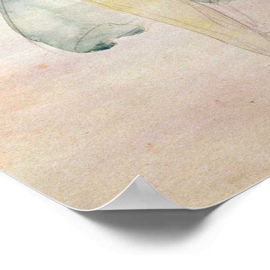 Dancer met veils poster (Hoek)
