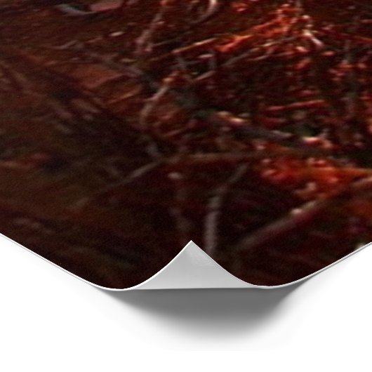 Dancer op een rots in het Poster van de woestijn (Hoek)