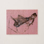 Dancer Slipping on Her Shoe by Edgar Degas Legpuzzel (Horizontaal)