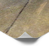 Dancer / Ster van de ballet - Degas schilderen Poster (Hoek)