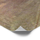 Dancer / Ster van de ballet - Degas schilderen Poster (Hoek)