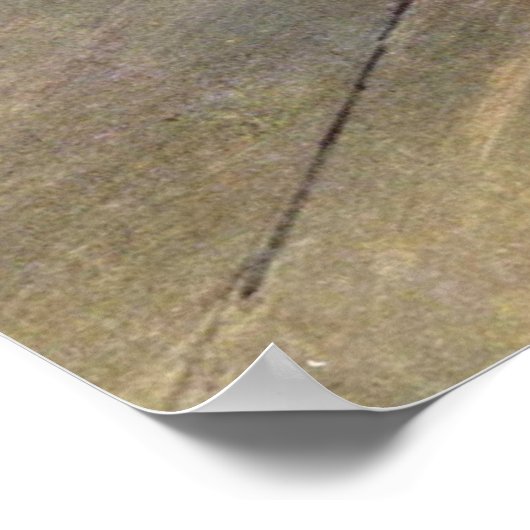 Dancer / Ster van de ballet - Degas schilderen Poster (Hoek)