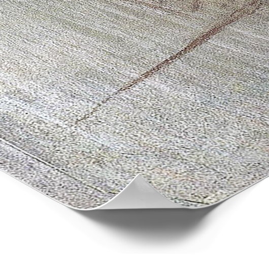 Dancers Edgar Degas Poster (Hoek)