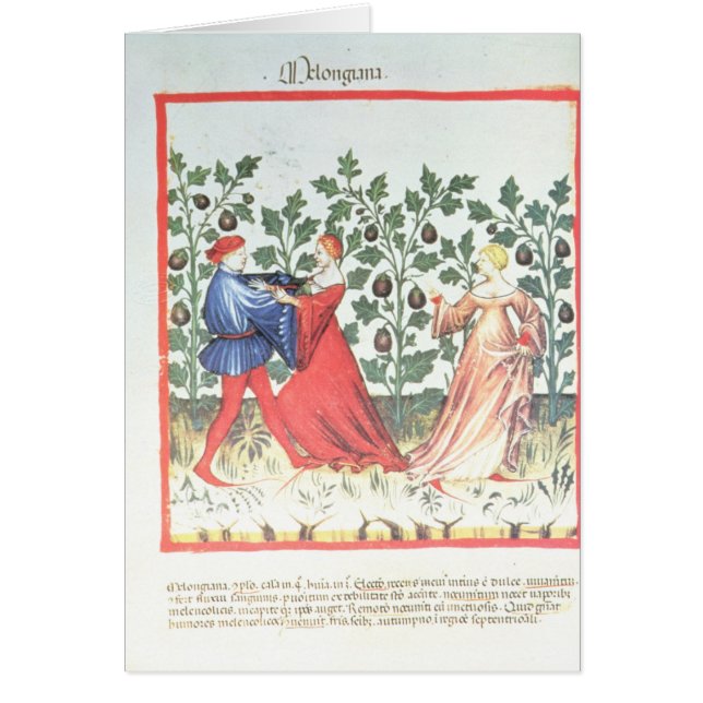 Dancers voor Broom Planten, 13e eeuw (Voorkant)