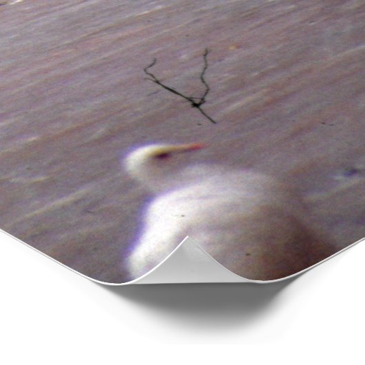 Dances met duiven poster (Hoek)