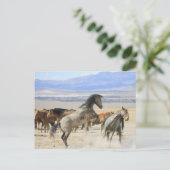 Dances met handschoenen briefkaart (Staand voorkant)