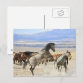 Dances met handschoenen briefkaart (Voorkant / Achterkant)
