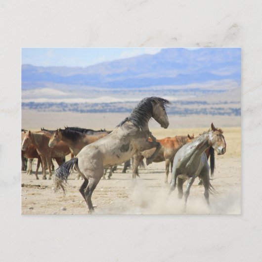 Dances met handschoenen briefkaart (Voorkant)