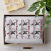 Dancin' Band van Falconland Tissue Paper Tissuepapier (Geschenk)