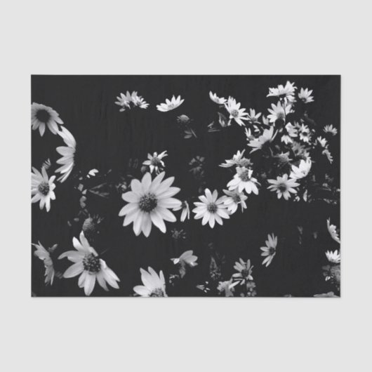 'Dancing Daisies' Tissue Paper Tissuepapier (Voorkant)