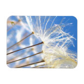 Dancing Dandelion Poof, Happy, Joyful, Nature Magneet (Horizontaal)