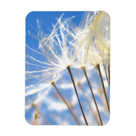 Dancing Dandelion Poof, Happy, Joyful, Nature Magneet
