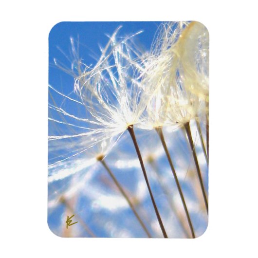 Dancing Dandelion Poof, Happy, Joyful, Nature Magneet (Verticaal)
