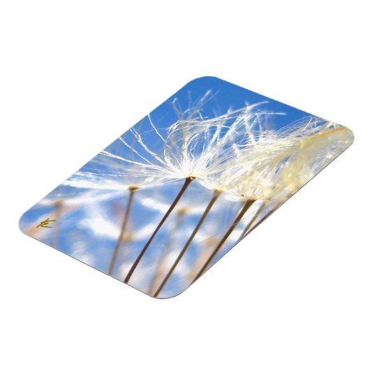 Dancing Dandelion Poof, Happy, Joyful, Nature Magneet (Linkerzijde)