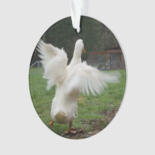 Dancing Duck Ornament (voorkant)