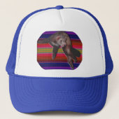 Dancing Ferret Hat Trucker Pet (Voorkant)